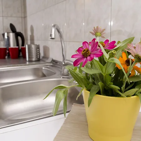 Апартаменти Re3ca Скоп'є