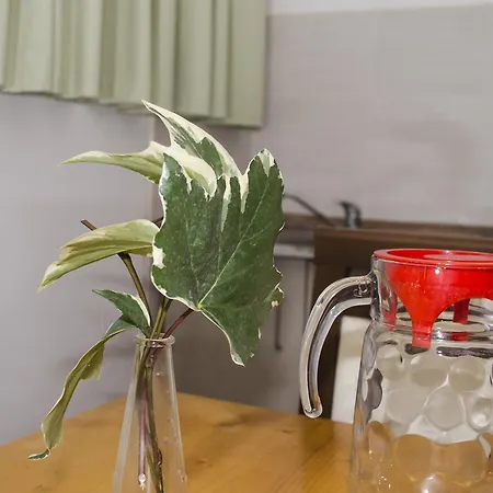 Re3ca Apartman Szkopje