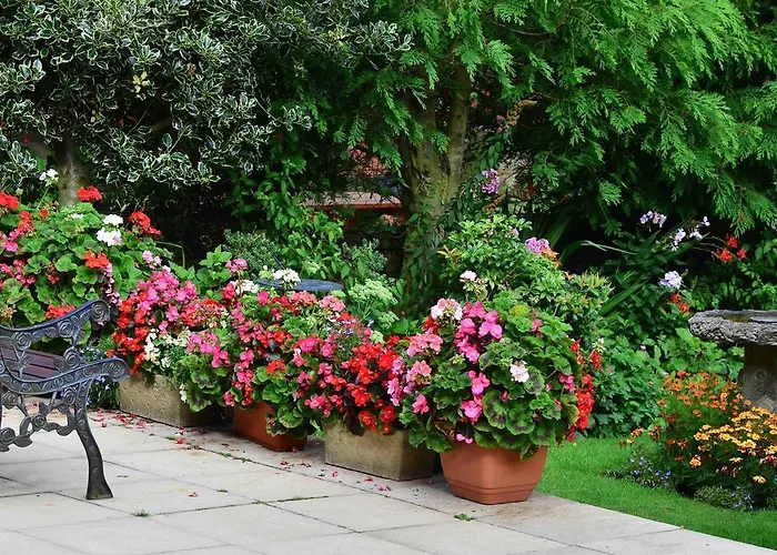 Διαμέρισμα Re3ca