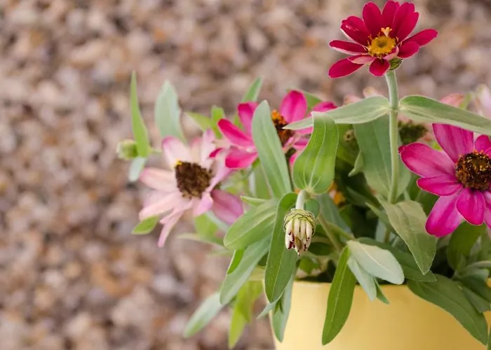 Διαμέρισμα Re3ca *